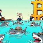 An illustration of a businessman in a suit holding a briefcase with money spilling out as he steps into a pool filled with sharks wearing mining helmets, while another shark swims away with a bag labeled "venture capital" in its jaws; nearby, two other businessmen are shown swimming towards the surface, one carrying an anchor and the other waving a flag reading "independent board members"; above them, a large Bitcoin logo looms